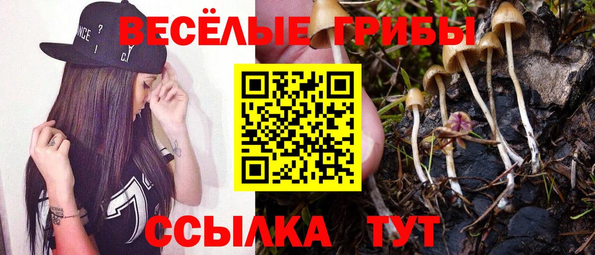 Анапа  Псилоцибиновые грибы Psilocybe  Галлюциногенные грибы MAGIC MUSHROOMS  Вход с VPN 